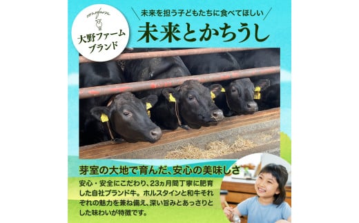 北海道十勝芽室町 カウ・カウビーフカレー 5個セット 未来とかち牛100％使用 me007-008c