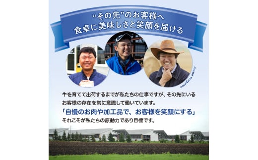 北海道十勝芽室町 カウ・カウビーフカレー 5個セット 未来とかち牛100％使用 me007-008c