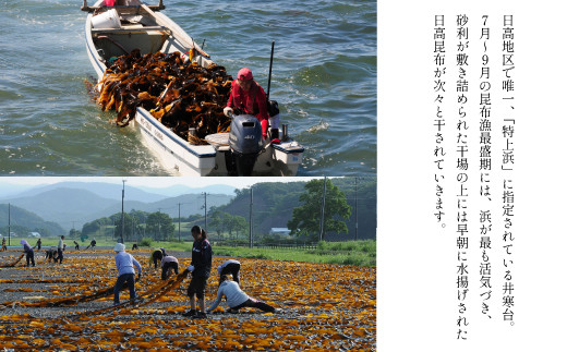 井寒台での昆布漁の様子です。