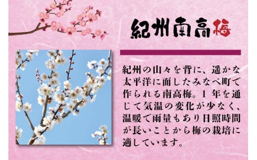 わけあり紀州南高梅はちみつ梅（塩分約8%）1000g A-028