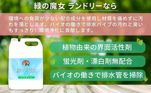 ＜毎月定期便＞環境配慮型洗剤緑の魔女ランドリー5L×3セットを全12回発送 | 茨城県 龍ケ崎市 洗剤 パイプクリーナー 詰まり 臭い 排水溝 環境配慮 洗濯槽 手肌 優しい 汚れ 蛍光増白剤 漂白剤 不使用 赤ちゃん 安心 お中元 お歳暮 ギフト 洗濯 液体 4003960