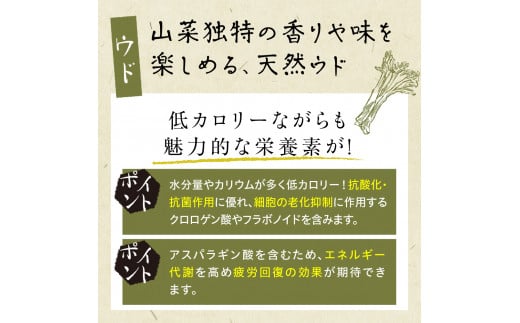 【先行受付】【2025年5月発送】北海道十勝芽室町 天ぷら用 ヨモギとウドの葉セット me011-006c