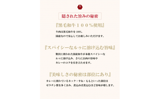 【ふるさと納税】 敬老の日 レトルトカレー ギフト 3個セット 黒毛和牛 和牛 プレゼント お返し イイジマ黒毛和牛レトルトカレー 3個入り 和牛カレー 化粧箱 水戸市 茨城県 ギフト対応 【肉のイイジマ】（DU-86）