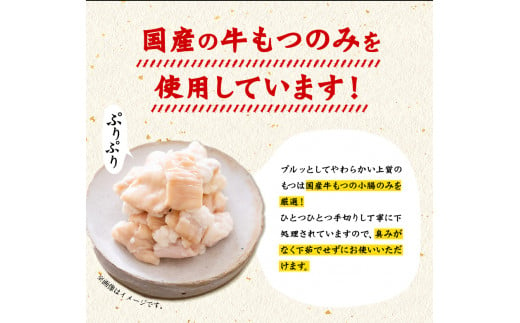 博多もつ鍋食べ比べ1人前セット×2個（醤油味・味噌味）《30日以内に出荷予定(土日祝除く)》もつ ちゃんぽん 贈り物 プレゼント