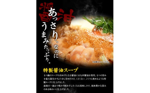 博多もつ鍋食べ比べ1人前セット×2個（醤油味・味噌味）《30日以内に出荷予定(土日祝除く)》もつ ちゃんぽん 贈り物 プレゼント