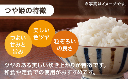 【全3回定期便】【甘みと旨みのお米】長崎県産米 （つや姫） 計15kg （5kg×3回）【ながさき西海農業協同組合】 [QAZ016]