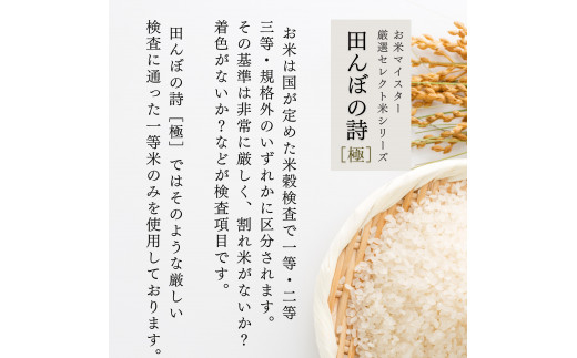 【定期便】 【令和6年産】 広島県産 お米マイスター厳選米  【出荷直前精米】 15kg(5kg×3回）