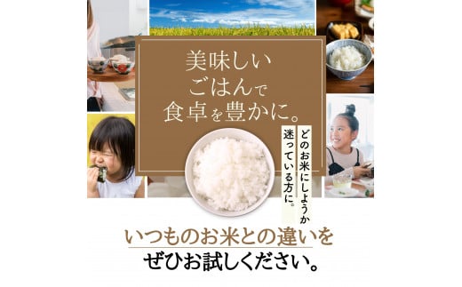 【定期便】 【令和6年産】 広島県産 お米マイスター厳選米  【出荷直前精米】 15kg(5kg×3回）