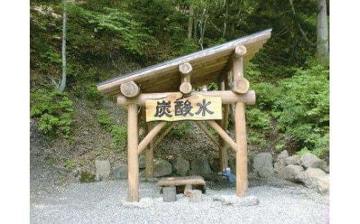 奥会津金山天然炭酸の水（330mlビン）24本