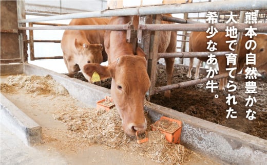 熊本県産　あか牛　焼肉600g