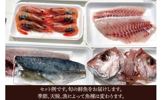 [№5313-0004]魚 富山湾直送 さばいた鮮魚セット 3～4種 旬 新鮮 鮮魚 刺身 詰め合わせ 産地直送 冷蔵/くろべ漁業協同組合 魚の駅「生地」/富山県 黒部市