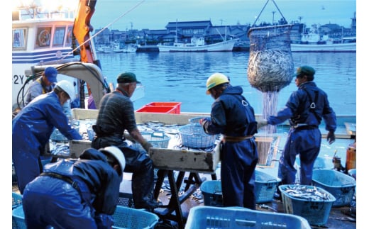 [№5313-0004]魚 富山湾直送 さばいた鮮魚セット 3～4種 旬 新鮮 鮮魚 刺身 詰め合わせ 産地直送 冷蔵/くろべ漁業協同組合 魚の駅「生地」/富山県 黒部市