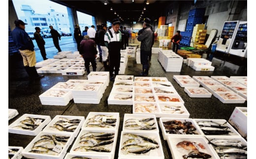 [№5313-0004]魚 富山湾直送 さばいた鮮魚セット 3～4種 旬 新鮮 鮮魚 刺身 詰め合わせ 産地直送 冷蔵/くろべ漁業協同組合 魚の駅「生地」/富山県 黒部市