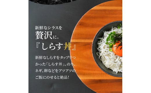 訳ありしらす宮崎産ドドーンと2kg入り N065-YZA2220