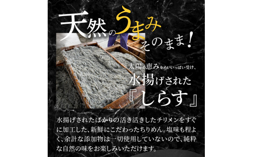 訳ありしらす宮崎産ドドーンと2kg入り N065-YZA2220