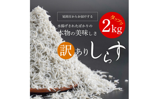 訳ありしらす宮崎産ドドーンと2kg入り N065-YZA2220