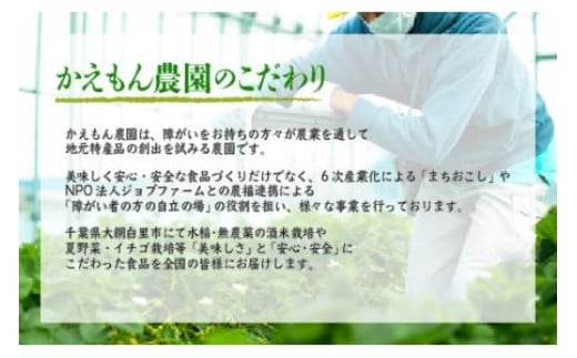 千葉県 大網白里市 五百万石 自然派日本酒「幸SACHI」300ml２本セット お酒 日本酒 千葉県 大網白里市 思いやり型返礼品 M004