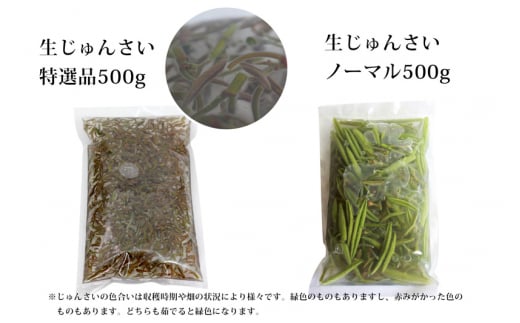 生じゅんさい食べ比べセット1kg タレ4個（生じゅんさい500g、特選生じゅんさい500g） 《冷蔵》（2025年5月上旬頃～7月下旬までに発送予定） 先行受付