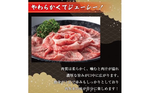 博多和牛切り落とし 500g [a9429] 株式会社Meat Plus ※配送不可：離島【返礼品】添田町 ふるさと納税