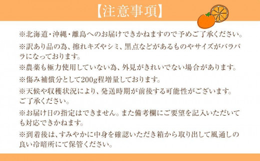 訳あり 森本農園の手選別ネーブルオレンジ 7kg +200g傷み補償付 和歌山県産 サイズ混合 【北海道・沖縄・離島配送不可】【RN19】