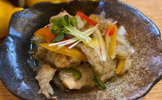 訳あり 老舗居酒屋  DELICHA 山口県 産地魚 南蛮漬け 約450g（約150g×3パック）　【山口県 宇部市 老舗 居酒屋 地元 人気 おばんざい 冷凍 一品 真空パック 急速冷凍 おつまみ 一番 人気  ビール あて 一品 自然 解凍 湯せん 品質 味良し 地魚 南蛮漬け 日本海 海の幸 おたのしみ】