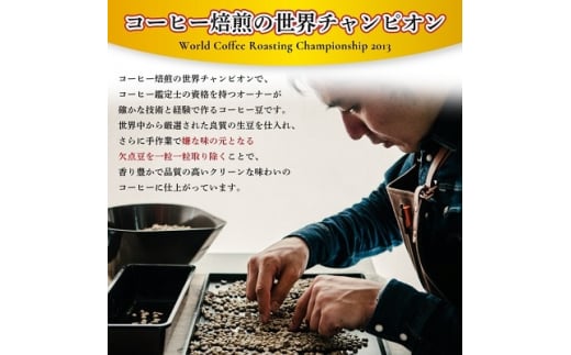 ＜焙煎世界チャンピオン＞(豆)豆香洞ブレンド&マスターおすすめコーヒーセット_ コーヒー 珈琲 コーヒ豆 ブラジル グアテマラ 2種 セット 飲み比べ 贈答 送料無料 ギフト おすすめ 人気 お取り寄せ チャンピオン 専門店 常温 【1083233】