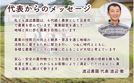 【令和6年産新米】 〈12回定期便〉渡辺農園の特別栽培米コシヒカリ 精米 5kg(5kg×1袋) 新潟県 五泉市 渡辺農園 [9月下旬以降順次発送]