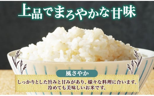 無地熨斗 令和6年産 風さやか 5分づき米 5kg×1袋 長野県産 米 お米 ごはん ライス 分つき米 農家直送 産直 信州 人気 ギフト 平林農園 熨斗 のし 名入れ不可 送料無料 長野県 大町市