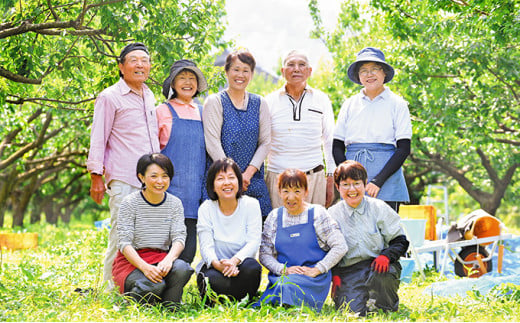 うめっぽの完熟梅ゼリー9本セット　福井県おおい町産梅使用