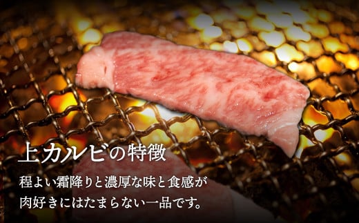 【A4/A5ランク黒毛和牛】びらとり和牛上カルビ焼500ｇ ふるさと納税 人気 おすすめ ランキング びらとり和牛 黒毛和牛 和牛 肉 焼肉 北海道 平取町 送料無料 BRTB018