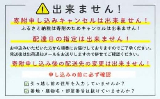 【訳あり】森町銘産いかめし750g（250g×3） カット済み 醤油味《道産ネットミツハシ》  森町 いかめし 烏賊めし イカ飯 惣菜 いか イカ 烏賊 レトルト 簡単調理 一人暮らし ふるさと納税 北海道 mr1-0695