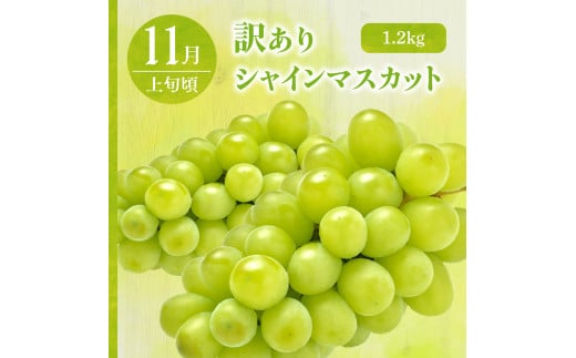 【2024年7月発送開始】 おいしい3種類☆フルーツ定期便【3回】（訳ありセット）緑肉メロン、りんご、シャインマスカット