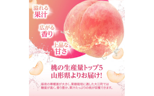 《先行予約》おまかせ 白桃 約5kg（18～25玉）【2024年8月上旬頃～発送予定】【山形もも・大江町産】 【001-090】