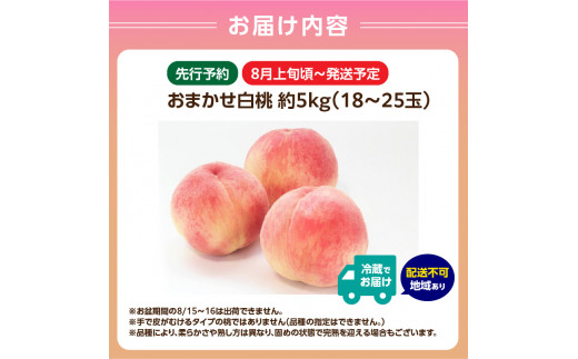 《先行予約》おまかせ 白桃 約5kg（18～25玉）【2024年8月上旬頃～発送予定】【山形もも・大江町産】 【001-090】