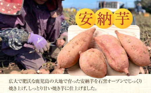 しっとり安納芋の焼き芋250g×6個【国産 種子島 さつまいも さつま芋 安納芋 安納いも サツマイモ 焼芋 やきいも 焼いも 冷やし焼き芋 スイーツ おやつ デザート 冷凍 お取り寄せ おすすめ 人気 中種子町 送料無料 AA01】