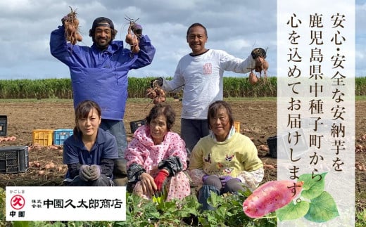 しっとり安納芋の焼き芋250g×6個【国産 種子島 さつまいも さつま芋 安納芋 安納いも サツマイモ 焼芋 やきいも 焼いも 冷やし焼き芋 スイーツ おやつ デザート 冷凍 お取り寄せ おすすめ 人気 中種子町 送料無料 AA01】