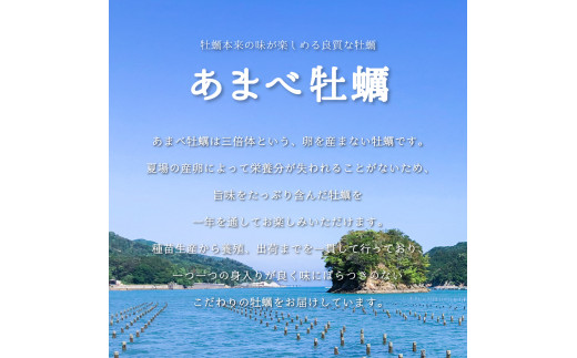 あまべ牡蠣 50個 牡蠣 シングルシード 生食用 殻付き かき カキ オイスター 生ガキ 生牡蠣 生がき 生かき ギフト 貝 旨味 【年内配送】