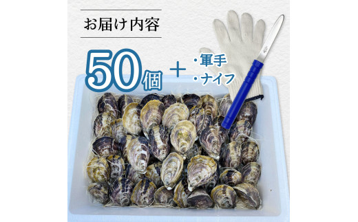 あまべ牡蠣 50個 牡蠣 シングルシード 生食用 殻付き かき カキ オイスター 生ガキ 生牡蠣 生がき 生かき ギフト 貝 旨味 【年内配送】