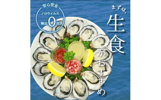 あまべ牡蠣 50個 牡蠣 シングルシード 生食用 殻付き かき カキ オイスター 生ガキ 生牡蠣 生がき 生かき ギフト 貝 旨味 【年内配送】