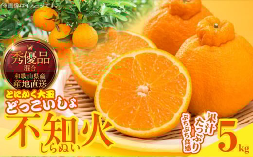 極早生みかん 家庭用10kg（他商品との同時購入不可）【出荷時期：10月中旬より / 販売時期：11月7日まで】｜モンベル