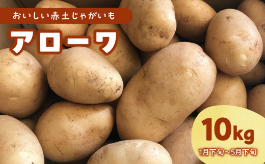 【2025年先行予約】沖永良部島産 おいしい赤土じゃがいも アローワ 10kg【1月下旬～5月下旬】　W009-070u-03