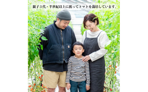 定期便 3回 先行予約 ミニトマト 2kg アイコ ボーノトマト 野菜 やさい トマト 完熟 高糖度 糖度 果物 スイーツ ジュース パスタ スパゲティー ソース サラダ ドレッシング 鍋 サンドイッチ ハンバーガー ピザ カレー ギフト 贈答 プレゼント お取り寄せ グルメ 送料無料 徳島県 阿波市 山下農園