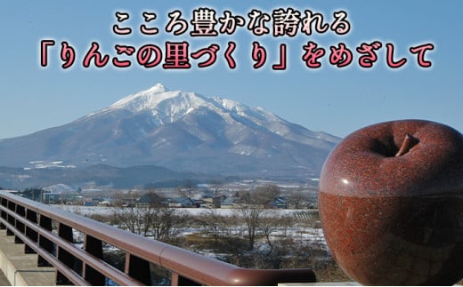 11～12月 贈答規格 蜜入り大玉ぐんま名月約5kg（12～16個）14度糖度保証【青森りんご・ゆうきアップル・11月・12月】