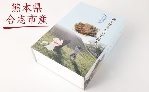 【熊本県合志市産】海を知らない 車海老 300g 約9尾～12尾×1箱 えび 魚介 海鮮