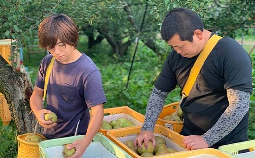 【先行予約（2025年度発送）】山形県産 ラ・フランス 5kg(12～20玉) 秀品 梨 洋梨 果物 フルーツ FSY-2167