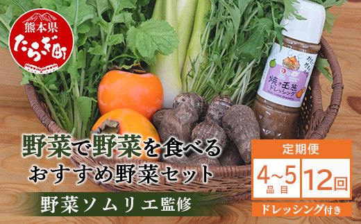 【12回定期便】野菜ソムリエ 監修 野菜で野菜を食べる  野菜セット  (1〜2名様向け)