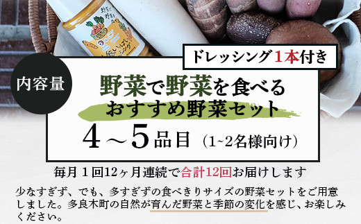 【12回定期便】野菜ソムリエ 監修 野菜で野菜を食べる  野菜セット  (1〜2名様向け)