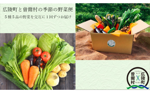 【広陵町×曽爾村連携返礼品】広陵町と曽爾村の野菜5種5品 2ヶ月定期便（曽爾村産2月発送、広陵町産3月発送）