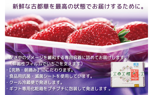 【4月~順次発送】奈良県特産 高級ブランドいちご「古都華」// いちご イチゴ 古都華 フルーツ 果物 旬 限定 ブランド