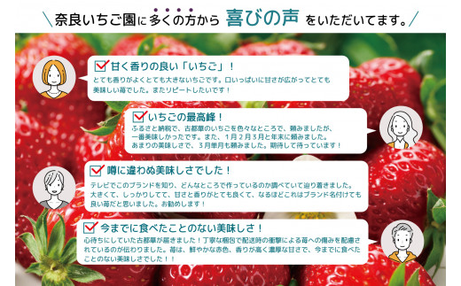 【4月~順次発送】奈良県特産 高級ブランドいちご「古都華」// いちご イチゴ 古都華 フルーツ 果物 旬 限定 ブランド